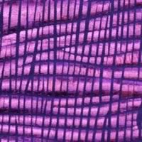 Pleated - purple