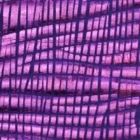 Pleated  - purple