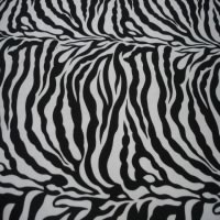 Zebra Print